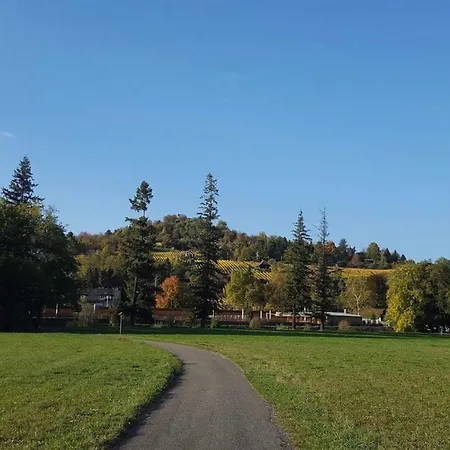 Frühstückspension Under The Pine-trees